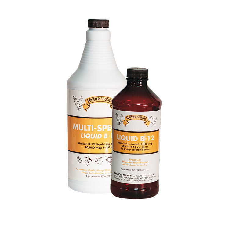 vitamin b12 injections in lubbock B-12 Injectable Solution Vitamin Injections - B-12, Glutathione