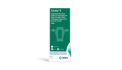 Merck Bovilis® Cavalry® 9 (50 Dose)