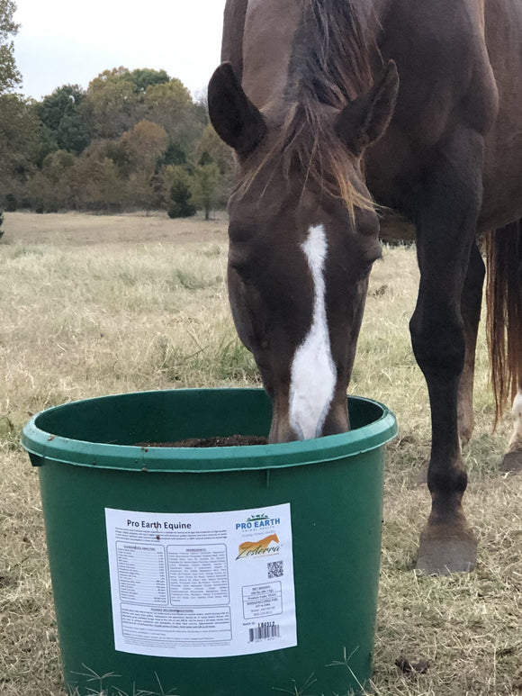 Pro Earth Animal Health Zesterra® Lick Tubs