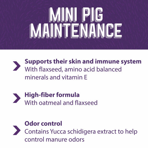 Mazuri® Mini Pig Mature Maintenance Feed