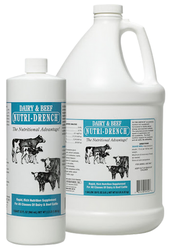 Bovidr Laboratories Dairy Beef Nutridrench
