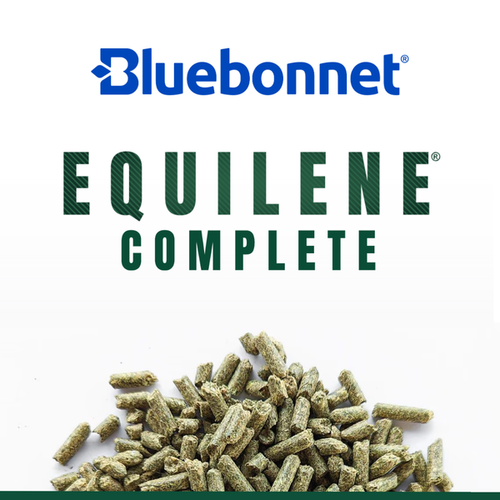 Bluebonnet Feeds Equilene® Complete