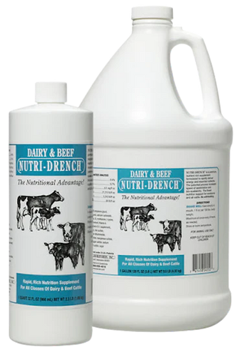 Bovidr Laboratories Dairy Beef Nutridrench (16 oz)