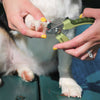 Coastal Pet Products Safari Professional Dog Nail Trimmer